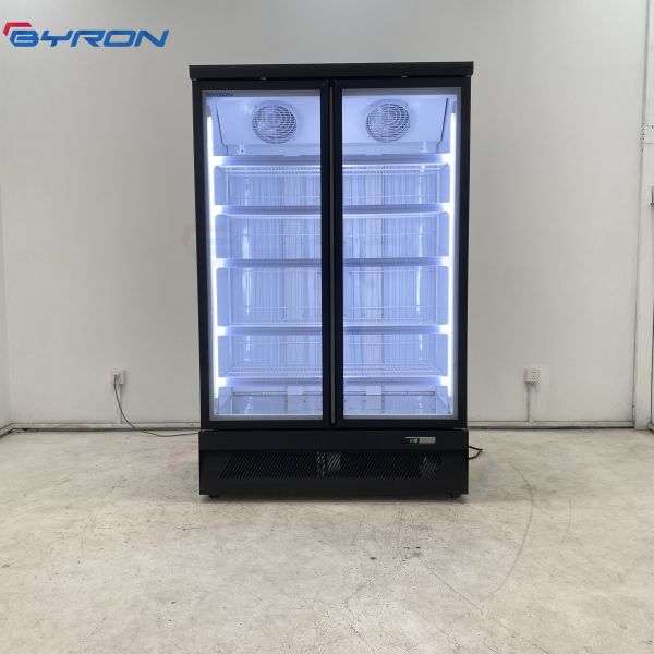 Freestanding Upright Showcase Freezer Merchandiser Two Glass Door Freezer