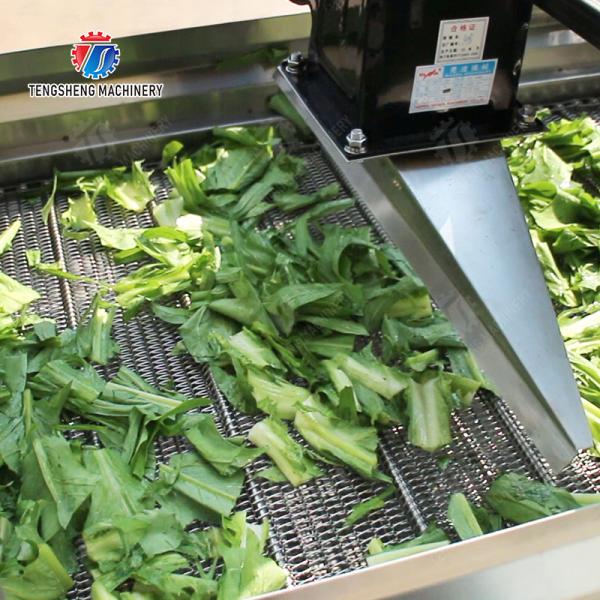 Orange Potato  Onions Ginger Potato Carrot Taro Sweet potato Yam Saiko persimmon papaya horseshoe 2025 Fruit and vegetable cutting, cleaning and air-drying production line