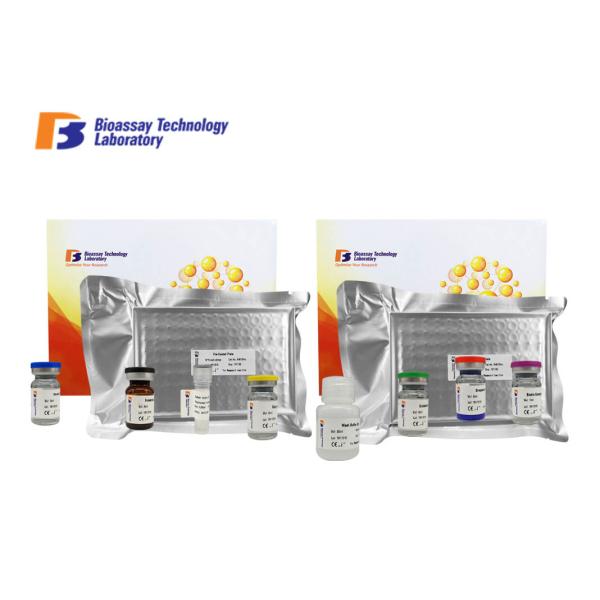 Sandwich Human ELISA Kit GPR173 Immunoassay Test Kit For Accurate Quantitative Detection