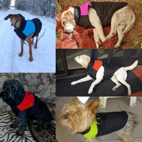 O cão impermeável reveste, roupa morna do inverno do cachorrinho/veste/revestimento