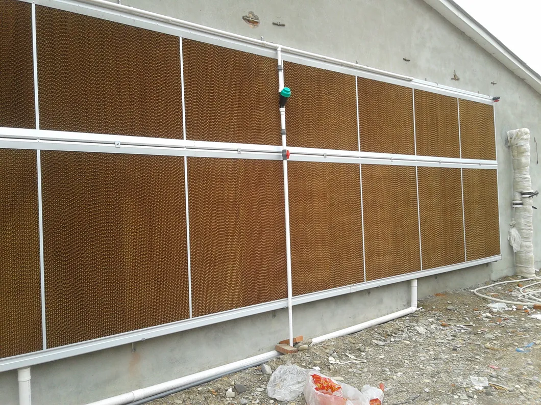 Poultry House Galvanized Exhaust Fan Strong Wind Ventilation Fan High Airflow