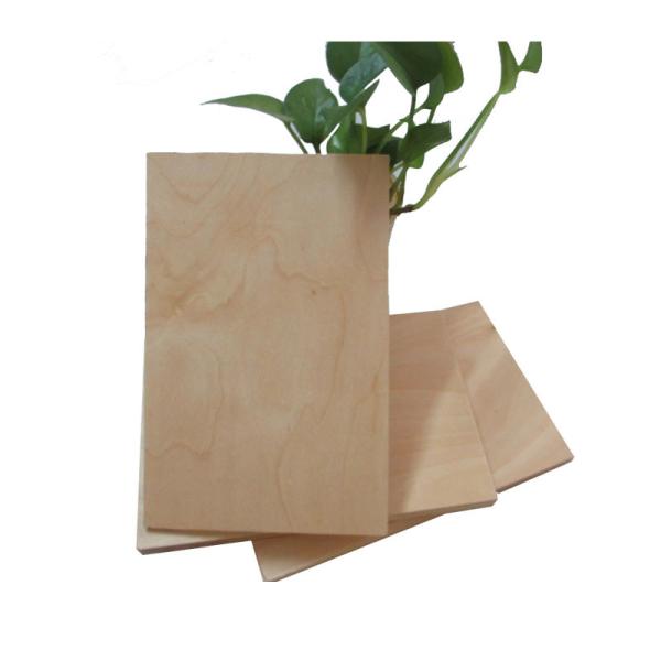 Full Hardwood Core MR 12mm Film Faced Birch Plywood