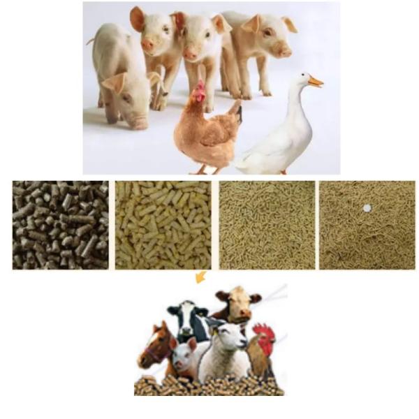 Производственная линия для производства кормов для скота из пеллет