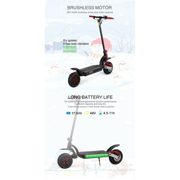 Foldable 2 Wheel Electric Scooter Skateboard Dual Motor With Double Brake System