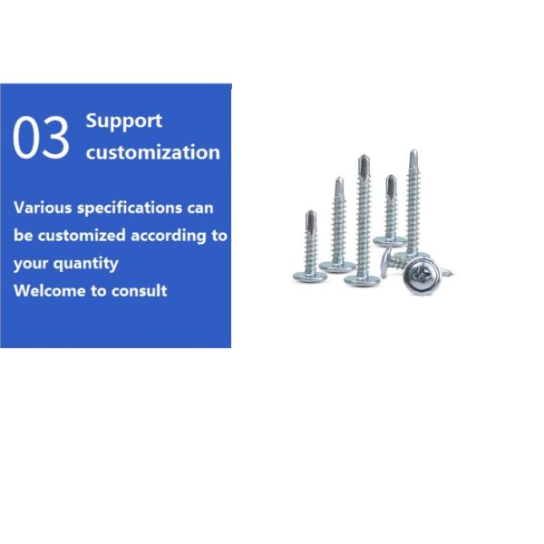 Carbon/Stainless Steel Truss Head Self-Drilling Screw from Factories with DIN Standard