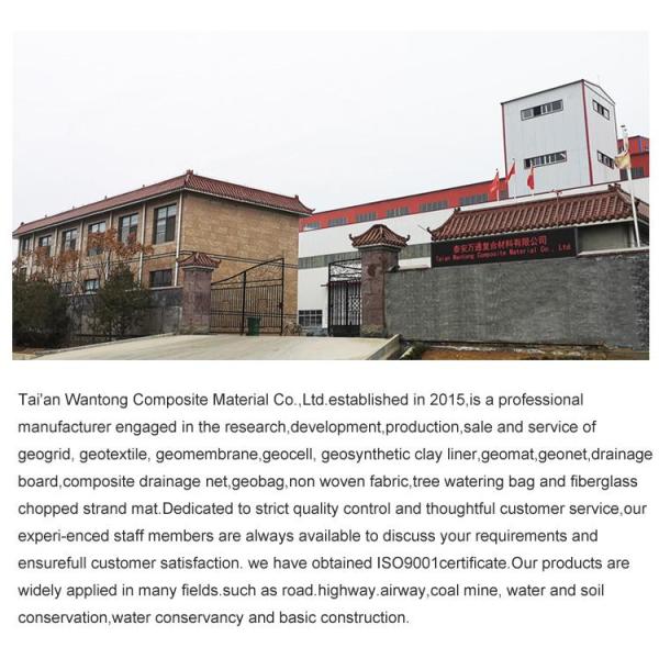 100-100kn Высокая прочность на протяжение Геосети для укрепления асфальтовых дорожек в желтом