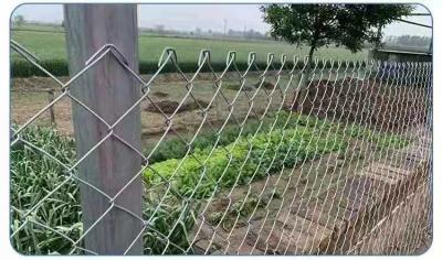 o Pvc da rede de arame 1.5mm do ferro do jardim da altura de 2m revestiu a cerca do elo de corrente