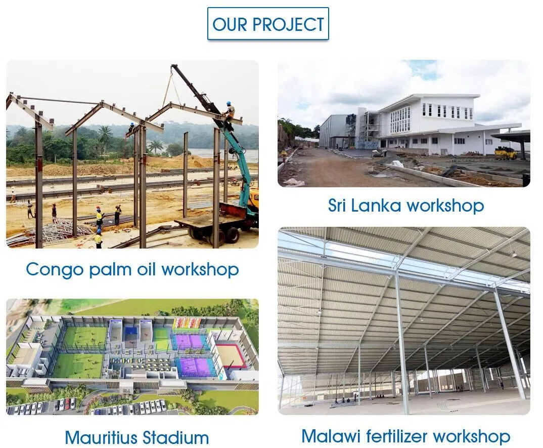 Metallic Light Prefab Hangar Shed with CE Certificate, Thermal Insulation, and Customized Design
