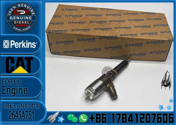 High Quality Professional Densos Gasoline Car Fuel Common Rail Diesel Electric Fuel Injector Assy 2645A751 2645A746 2645