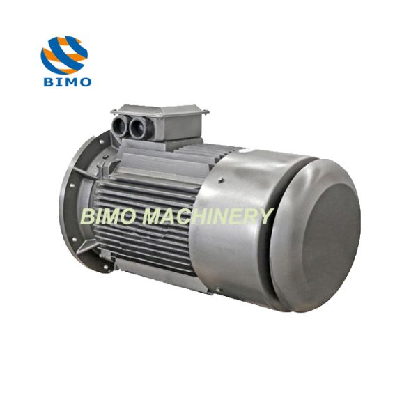 IE4 Series 0.12KW-315KW Super Premium Efficiency Three Phase Asynchronous Motor