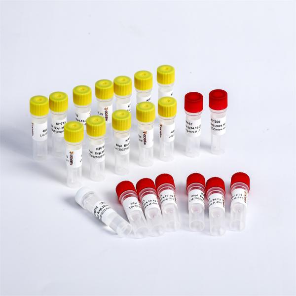 Universal Adapter I5 And I7 PCR Primers Multiplex Oligos 2 For Illumina