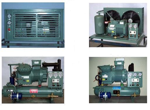 блоки рефрижерации холодильных установок блока 4DES-5Y 5HP компрессора рефрижерации 220V 50Hz