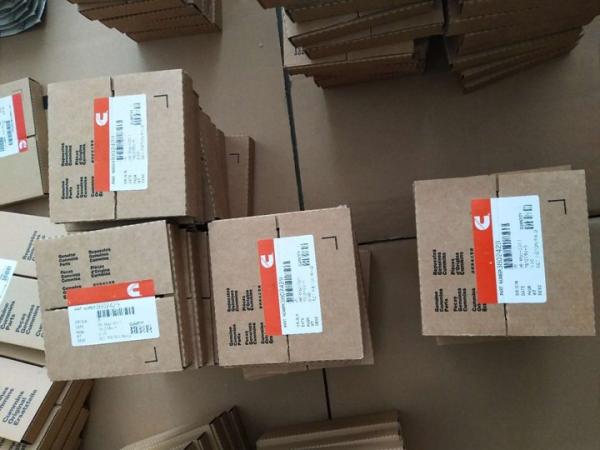 Cummins piston ring 3801056 4955169 3802420 3802429 4089500  AR12098 3802040 3802230 4089644  4955169
