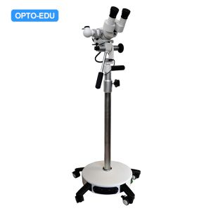 Suporte reto video do zumbido 0.4x 0.6x 1x 1.6x 2.5x da etapa de A43.1902