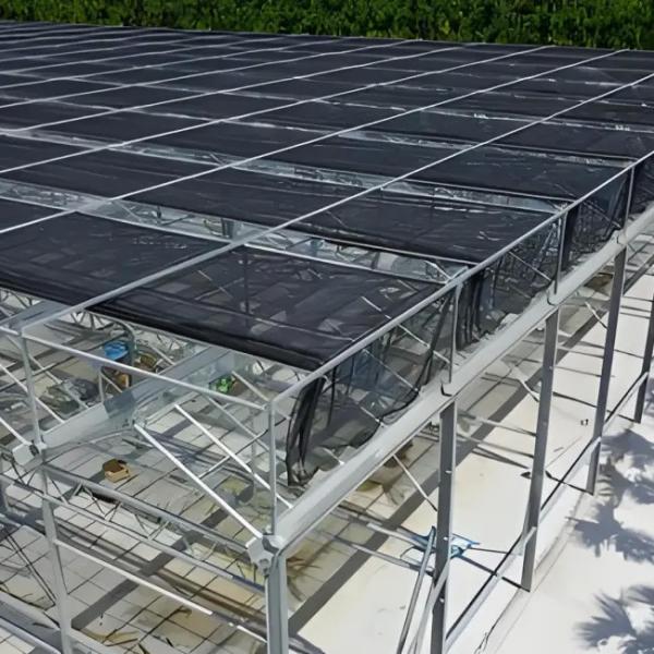 Intelligent Venlo - Type  Aluminum profile customized  polycarbonate  Greenhouse With Shading Systems