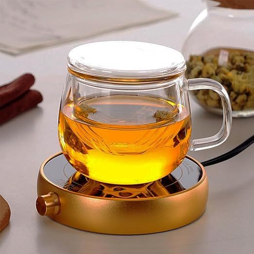 450ML Single Wall Glass Mug High Borosilicate Glass Tea Cup With Infuser And Lid