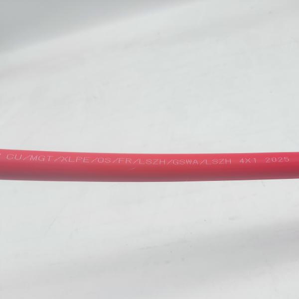 Le câble d'instrumentation 300/500V CU/MGT/XLPE/OS/FR/LSZH/GSWA/LSZH 4x1
