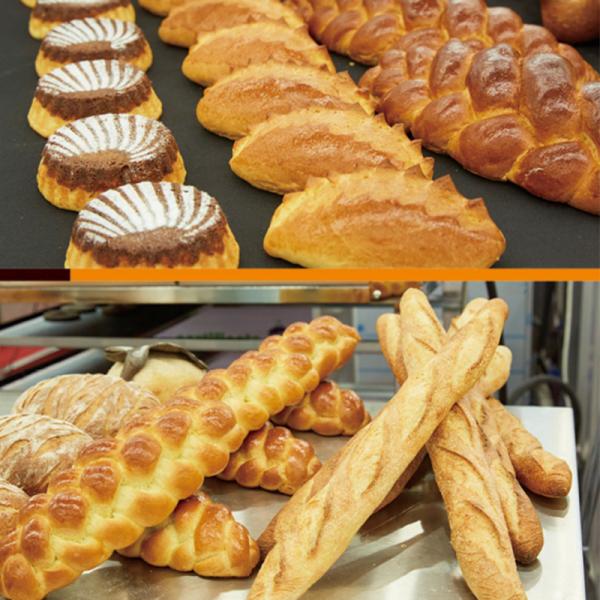 Toasters Cake Pizza Convection Baking Oven With Cabinet Freezer Proofer