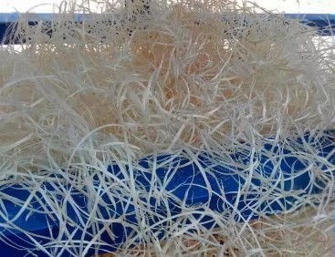 Electric Wood Wool Machine for animal bedding