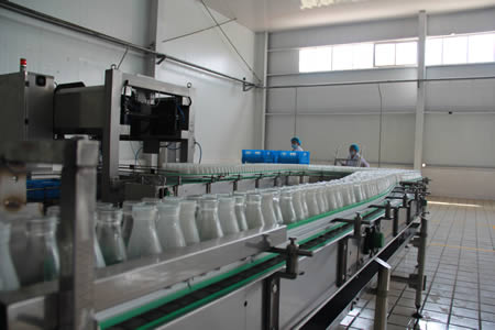 Glass Bottle Dairy Production Line , Milk Production Plant Equipment Long Service Life