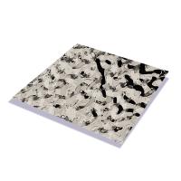 Panel de acero inoxidable en relieve para revestimientos exteriores