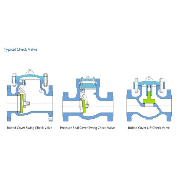 10 ФЛАНЕЦ LB A216 WCB RF задерживающего клапана 300 качания стали углерода дюйма