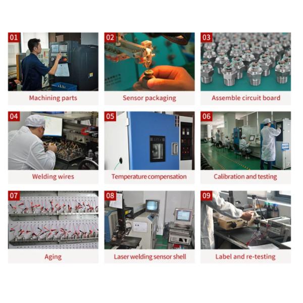 NBR Seal IP65 10A 1/4NPT Mechanical Pressure Switch