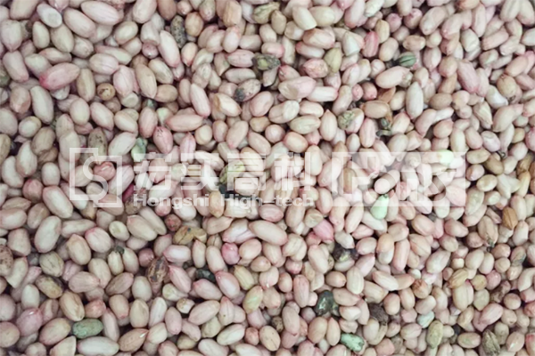 5 Chutes Peanut Color Sorting Machine Intelligent Identification