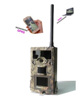 Fuga Camera12MP HD Wireless Hunting Camera do MMS da imagiologia térmica da G/M GPRS