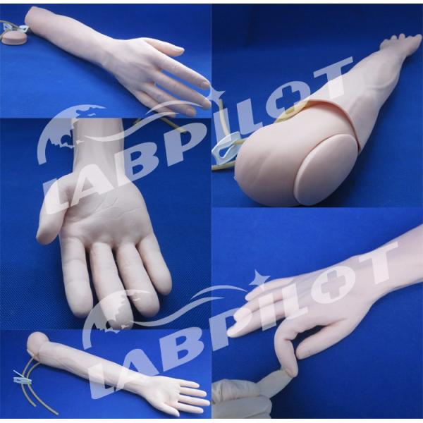 Intravenous Infusion and Injection Teaching Arm Model for Medical Simulation Practice