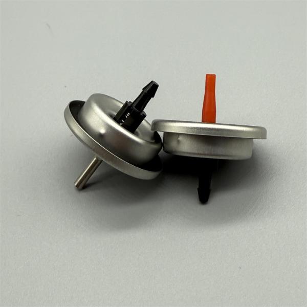 Stainless Steel One Inch Lighter Gas Valve for Marine, Offshore, and Chemical Applications with Superior Salt Spray Resistance and Sealed Stem