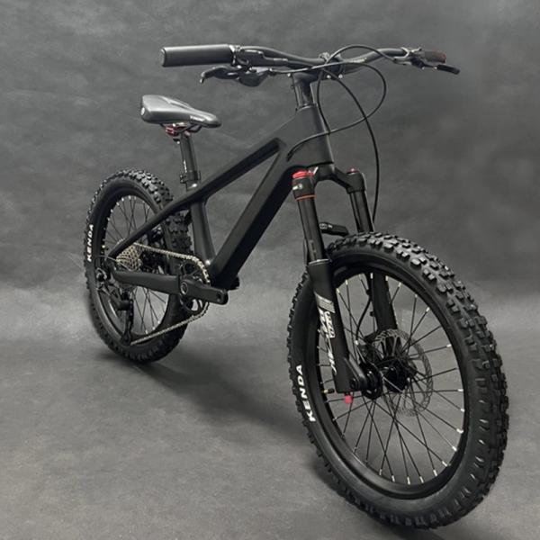 20er Kids Mountain Bike Disc Brake Shimano 10 Speed Bicycle For Children