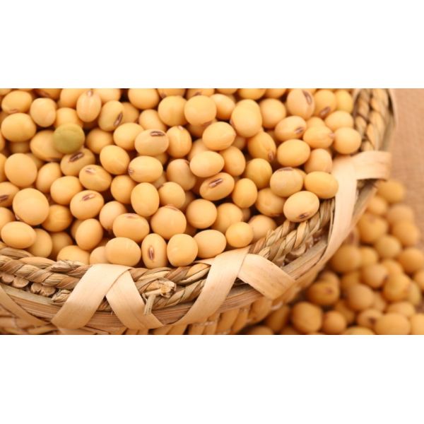PXD Intelligent Optical Sorter is equipped with an AI-driven RGB/MSI flexible camera module, enabling precise identification of color, size, shape, and texture features of beans for multi-dimensional