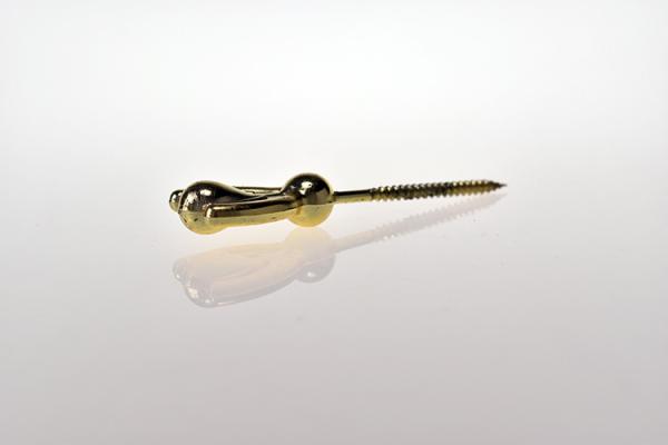 Gold Surface Coffins And Caskets Accessories , Coffin Ornaments Screws Small Size