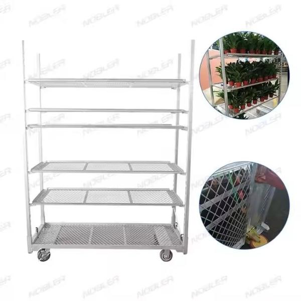 Heavy Duty Galvanized Horticultural Danish Trolleys Greenhouse Rolling Nursery Transport Storage