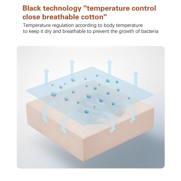 JOURM Natural Anti-Mite Knit Fabric High Density Compressible Sponge Orthopedic Mattress