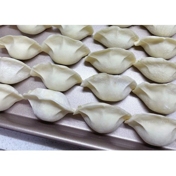 Dumpling Wrappers – HALAL Certified EU Standard Manufacturer