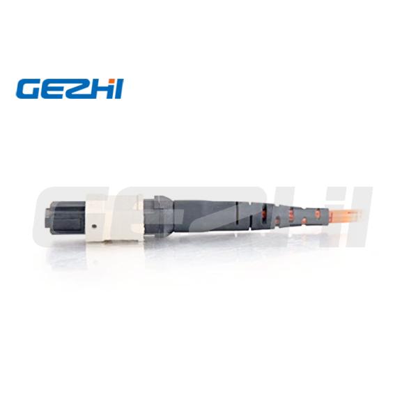 LSZH Fiber Optic Patch Cord 24F MPO Женщина к MPO Женщина 3,0 мм ствол кабель