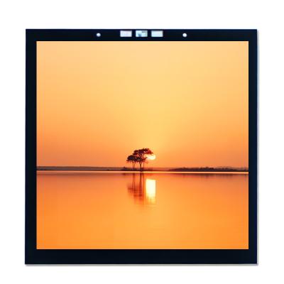 3.95 Inch Interface MIPI LCD Display Capacitive Touch Screen Display Manufacturers