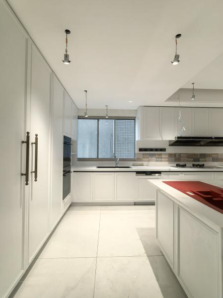Fadior Full Stainless Steel Custom Kitchen Cabinet - Elegant White & Mint Green, Island Layout