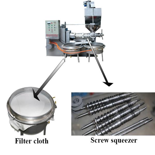 4kw Peanut Oil Extractor Machine Cold Oil Presser 310 Kg/H