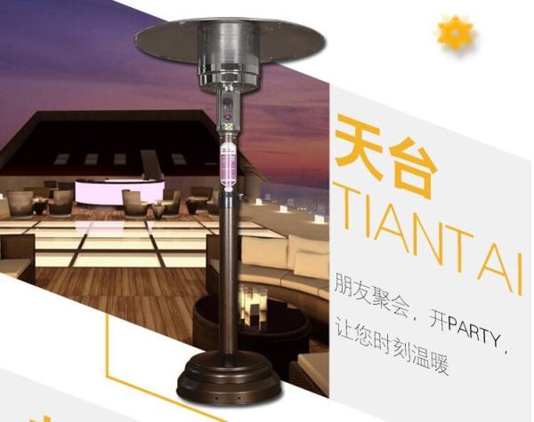 Elegance Powder Coated Stand Up Outdoor Heater 13000W 1400-2000mm Height