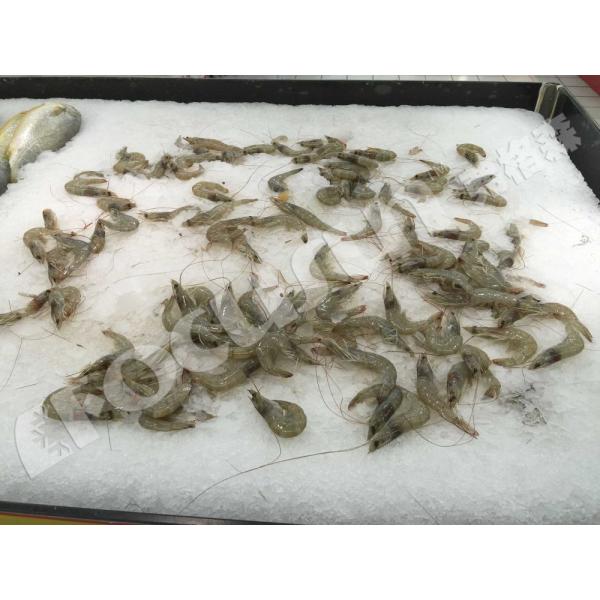 2200*1050*1550 мм Флейковый ледоколь Машина для охлаждения воды для рыболовных судов