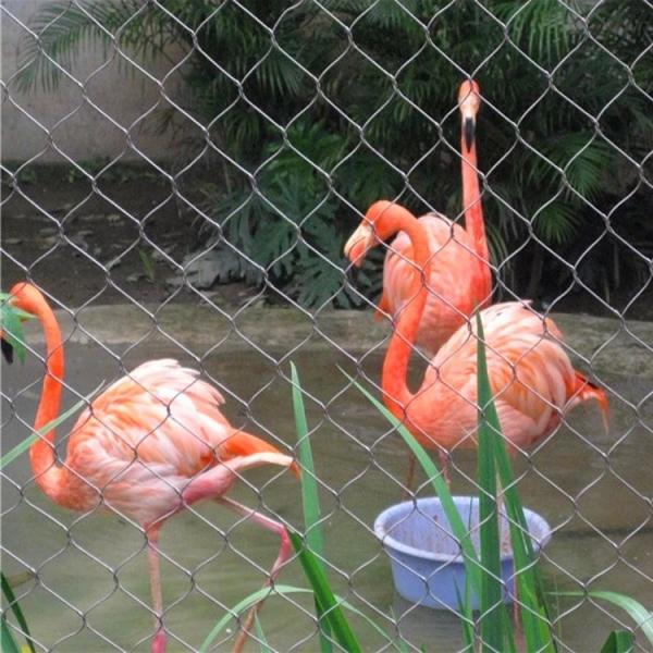 3.0mm 4.0mm Stainless Steel Mesh Netting , Flexible Outdoor Aviary Netting