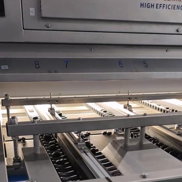 Smart Dates Sorting Machine With AI-powered Detection, 6 lanes+10 outlets, 1.8 Tons per hour, Stainless Steel