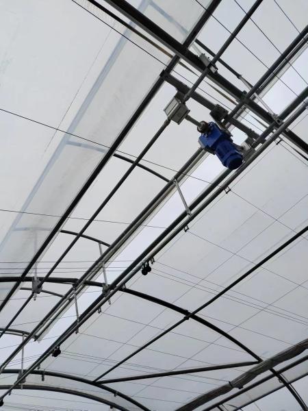 Double Layer PE Film Multi Span Film Greenhouse With Hydroponic System