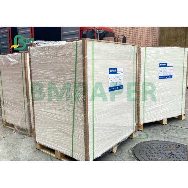 300gsm 350gsm C1S Carton Paperboard For Folding Packing Box