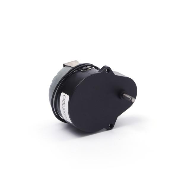 CW CCW FREE AC Gear Motor / Pm Synchronous Motor 220V 160g  GM50SMS48