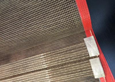 Secador UV Resitance de alta temperatura 5*5mm PTFE Mesh Belt