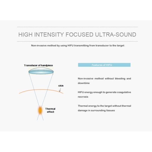 Beauty Salon Hifu Body Slimming Machine Elastin Fiber Contraction 4MHz Frequency